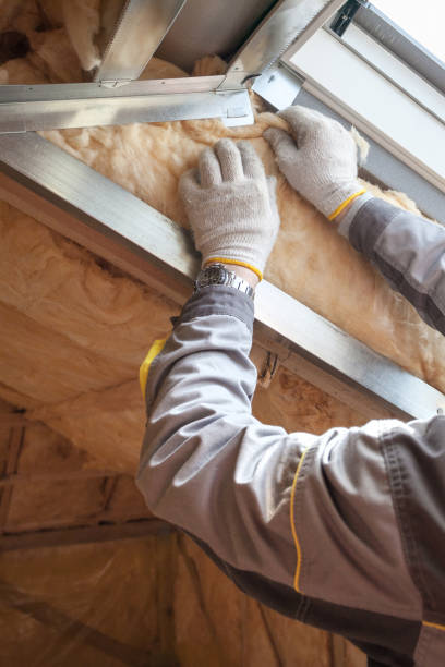 Best Radiant Barrier Insulation  in Lake Ssota, WI